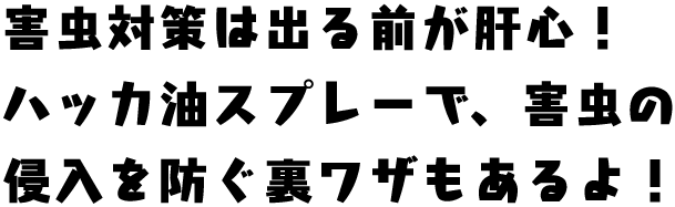 害虫対策は出る前が肝心！ハッカ油スプレーで、害虫の侵入を防ぐ裏ワザもあるよ！